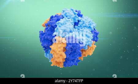 Illustration de la structure enzymatique de la ribulose-1,5-bisphosphate carboxylase/oxygénase (Rubisco). Rubisco est la protéine la plus abondante sur Terre impliquée dans le processus de photosynthèse chez les plantes, les algues et certaines bactéries. Banque D'Images