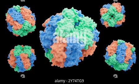 Illustration de la structure protéique de la ribulose-1,5-bisphosphate carboxylase/oxygénase (Rubisco). Rubisco est la protéine la plus abondante sur Terre impliquée dans le processus de photosynthèse chez les plantes, les algues et certaines bactéries. Banque D'Images