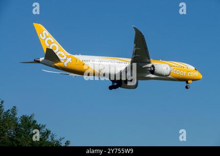 Boeing 787-8 Dreamliner Scoot Aviation Company Singaporean Low-Cost Carrier budget Discount avion avion avion Jetliner approche Berlin Banque D'Images