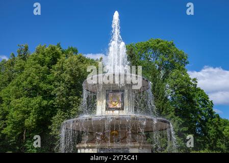 PETERHOF, RUSSIE - 13 JUIN 2024 : fragment de la fontaine romaine. Petrodvorets Banque D'Images