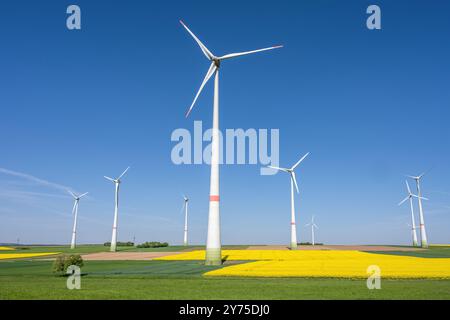 Éoliennes avec quelques champs de canola en fleurs vus en Allemagne Banque D'Images