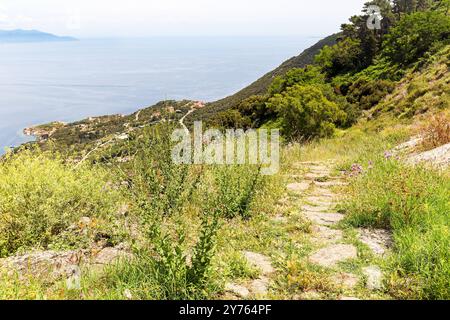 Sentier de randonnée (Mulattiera) de Giglio Porto à Giglio Castello avec vue sur la mer méditerranée et la plage d'Arenella à Isola del Giglio, île du Banque D'Images