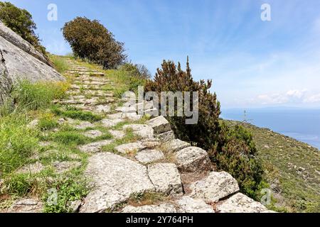 Sentier de randonnée (Mulattiera) de Giglio Porto à Giglio Castello avec vue sur la mer méditerranée et la plage d'Arenella à Isola del Giglio, île du Banque D'Images