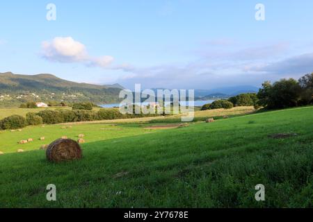 La rivière Mundakako Itsasadarra traverse Busturia, pays Basque. Début d'automne, balles de foin sur des prairies verdoyantes, collines boisées en arrière-plan. Banque D'Images