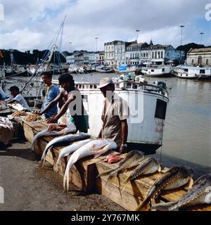 Fischer verkaufen ihren Fang im Hafen von Belém im Norden von Brasilien um 1989. Banque D'Images