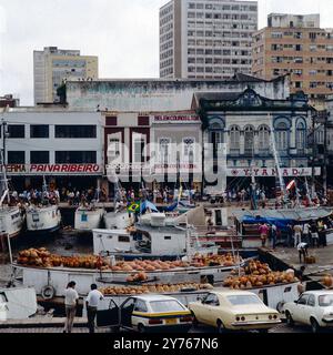Tonkrüge im Hafen von Belém im Norden von Brasilien um 1989. Banque D'Images