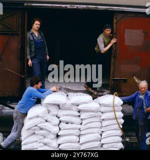 Arbeiter beim Entladen eines Zugs im Freihafen von Hamburg um 1986. Banque D'Images