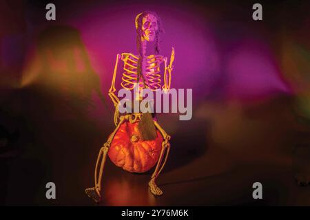 Figurine squelette assise sur une citrouille, illuminée par un mélange d'éclairage violet et orange, créant une atmosphère sinistre et artistique sur le thème de l'Halloween. Banque D'Images