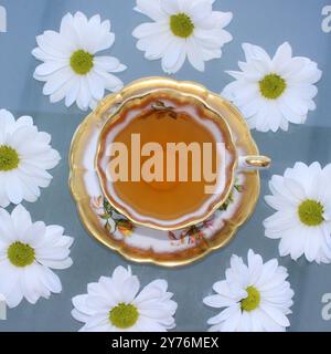 Tasse de thé rooibos rouge entourée de fleurs blanches Banque D'Images