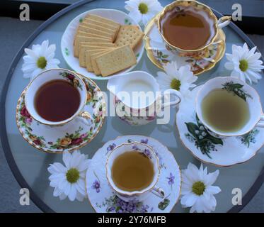 Un ensemble de table avec une variété de thés dans de belles tasses Banque D'Images