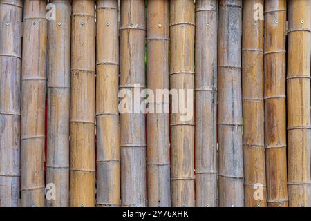 Un vieux mur fait de troncs de bambou. Le bambou est brun et a une texture rugueuse. Banque D'Images
