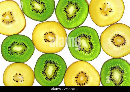 tranches de kiwi jaune et vert sur fond blanc, vue de dessus de deux variétés de kiwi juteuses et fruitées en vert et or Banque D'Images