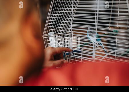 Personne interagissant avec un copain dans une cage à oiseaux blanche Banque D'Images