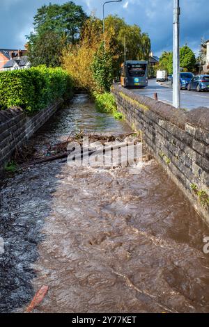 Débris d'inondation bloquant l'écoulement de l'eau dans un ruisseau urbain à Whitchurch, Cardiff, pays de Galles, Royaume-Uni. Crues soudaines. Inondation. Environnement. Conditions météorologiques extrêmes. Pluies. Banque D'Images