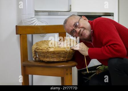 L'homme caresse mignon chat gingembre dormant dans le panier. Moelleux animal a une sieste avec plaisir. Concept sur les animaux de compagnie et l'amour pour eux Banque D'Images