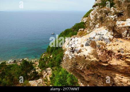 Roccella lichens (Roccella phycopsis) sur une falaise côtière de la Mola avec un yacht dans la mer (Formentera, Baléares, mer Méditerranée, Espagne) Banque D'Images