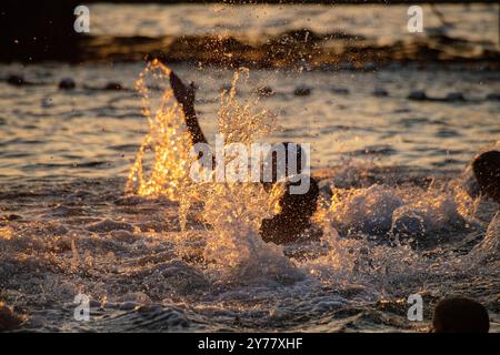 Le soir water polo comme le soleil se couche à Cabcat, Croatie Banque D'Images