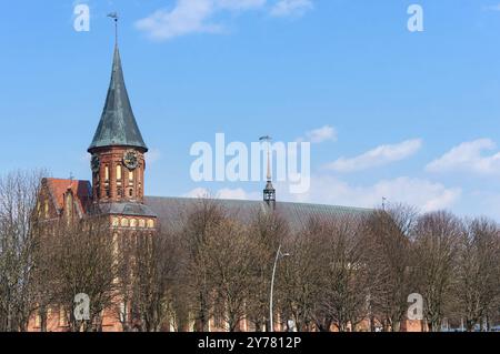 Cathédrale de Kaliningrad, cathédrale de la mère de Dieu et Saint Adalbert, gothique brique, Kaliningrad, Russie, 6 avril 2019, Europe Banque D'Images