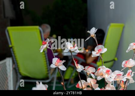 Heureux couple romantique célébrant, tenant des verres de cocktails avec des fruits et buvant des pailles. Anniversaire de mariage, concept Saint Valentin Banque D'Images