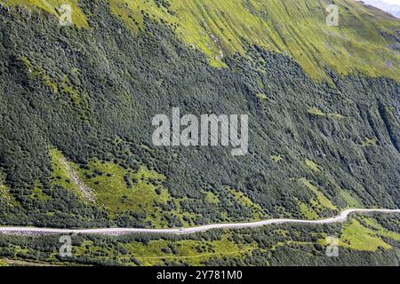 Paysage des Alpes suisses au-dessus de la limite des arbres, camping-car voyageant dans une zone solitaire. Pente de montagne sur le col de Furka près d'Obergoms, Canton Valais Banque D'Images