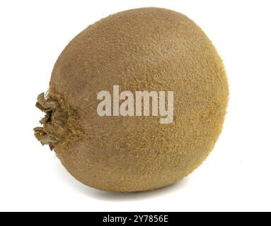 Gros plan sur des kiwis entiers isolés sur fond blanc Banque D'Images