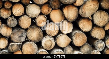 Les bûches rondes de bois de chauffage sont empilées sous la forme d'un mur Banque D'Images