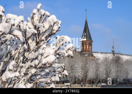 Kaliningrad, Russie, 2021, janvier 29 : Cathédrale de Kaliningrad. Le centre historique de la ville. La tombe d'Emmanuel Kant. La cathédrale notre-Dame Banque D'Images