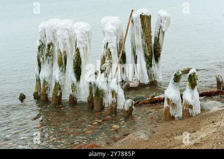 Glace sur les brise-lames dans la mer, brise-lames couverts de glace Banque D'Images