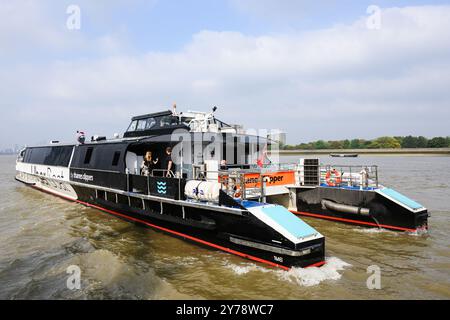 Londres, Royaume-Uni - 18 septembre 2024 ; Thames Clippers Uber Boat Hurricane Clipper sur la Tamise Banque D'Images