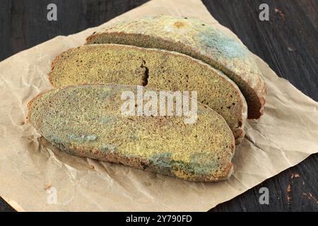 Pain moisi griller des tranches avec des champignons, pain gâté Banque D'Images