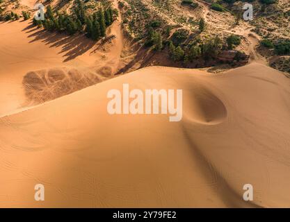 Vue aérienne par drone des dunes de sable Coral Pink dans le sud de l'Utah, États-Unis Banque D'Images