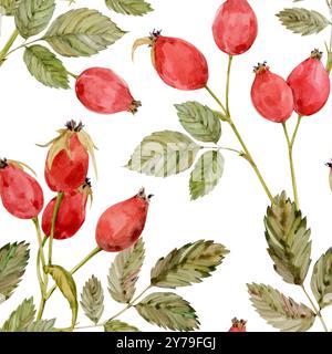 Motif Briar chien-rose aquarelle, baies et feuilles vertes isolées sur fond blanc. Brunchs de briar botanique dessinés à la main. Clipart pour tisane Banque D'Images