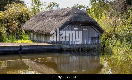 Sur le norfolk Broads se trouve un vieux hangar de bateau au toit de chaume. Il est situé à Hickling, un village du Norfolk Banque D'Images