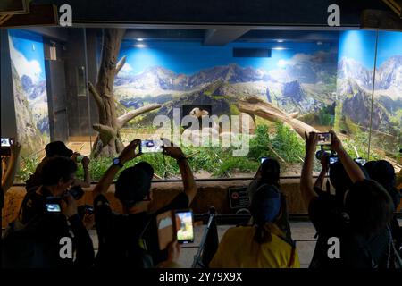 (240929) -- TOKYO, 29 septembre 2024 (Xinhua) -- les visiteurs prennent des photos du panda géant Shin Shin au zoo d'Ueno à Tokyo, Japon, 28 septembre 2024. Les pandas géants bien-aimés Ri Ri et Shin Shin ont quitté le zoo d'Ueno à Tokyo aux premières heures de dimanche pour retourner dans leur pays d'origine, la Chine, en raison de problèmes de santé liés à l'âge. Samedi, dernier jour de visionnement public pour la paire de panda, plus de 2 000 fans se sont alignés avant l'ouverture pour dire au revoir, avec beaucoup en larmes. Le panda géant Ri Ri, mâle et femelle, Shin Shin Shin, tous deux originaires de la province du Sichuan, dans le sud-ouest de la Chine, sont arrivés au zoo d'Ueno en février Banque D'Images
