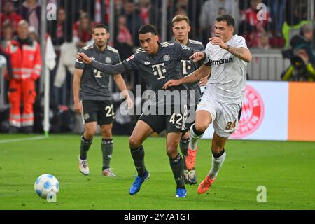 Munich, Allemagne. 28 septembre 2024. Jamal MUSIALA (FC Bayern Munich), action, duels contre granit ? Crédit : dpa/Alamy Live News Banque D'Images