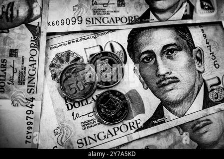 Singapour, Singapour. 29 septembre 2024. Une illustration photo de la devise Singapour Dollar (SGD S$) pour les nouvelles des affaires et des marchés financiers. Le dollar de Singapour (SGD) est une devise majeure en Asie du Sud-est, reconnue pour son économie mondialisée, sa stabilité et son solide soutien économique. L’Autorité monétaire de Singapour (MAS) réglemente la monnaie, assurant sa résilience face aux fluctuations du marché financier mondial. Connue pour son secteur bancaire dynamique, Singapour sert de plaque tournante financière, attirant les investissements et favorisant le commerce international en concurrence avec Hong Kong et Tokyo. eco Banque D'Images