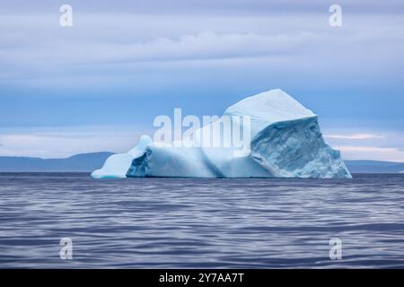 Iceberg bleu dans les eaux froides et bleues de l'océan Arctique à l'île Bontekoe, dans le parc national du nord-est du Groenland. Banque D'Images