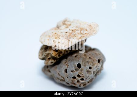 Gros plan macro de galets lisses et colorés disposés sur un fond blanc, mettant en valeur leurs textures naturelles et leurs détails complexes. Banque D'Images