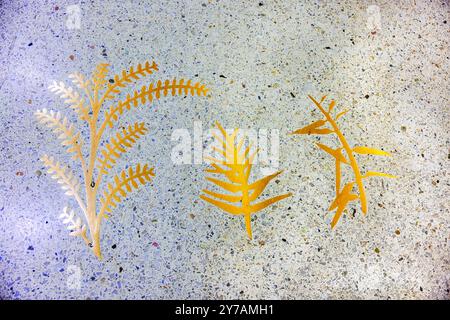 Dessins de feuilles dorées sur le sol en terrazzo dans la zone publique de l'aéroport de Miami. Banque D'Images