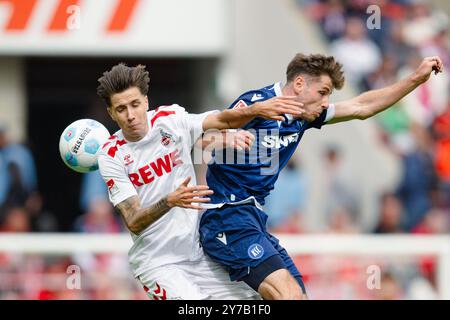 Cologne, Allemagne. 29 septembre 2024. Football : Bundesliga 2, 1. FC Köln - Karlsruher SC, Journée 7, RheinEnergieStadion. Denis HuseinBasic de Cologne (à gauche) et Leon Jensen de Karlsruhe se battent pour le ballon. Crédit : Marius Becker/dpa - NOTE IMPORTANTE : conformément aux règlements de la DFL German Football League et de la DFB German Football Association, il est interdit d'utiliser ou de faire utiliser des photographies prises dans le stade et/ou du match sous forme d'images séquentielles et/ou de séries de photos de type vidéo./dpa/Alamy Live News Banque D'Images