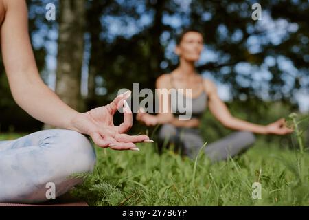 Gros plan moyen d'une main féminine manucurée méconnaissable pendant la méditation dans le parc Banque D'Images