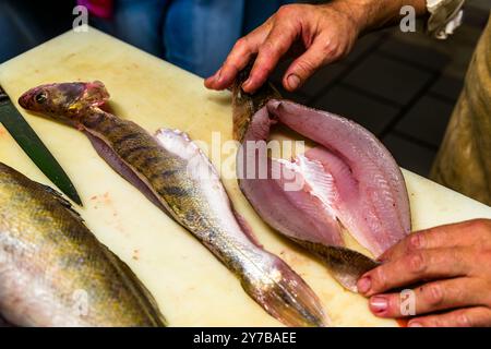Le chef René Bobzin prépare du poisson désossé avec divers plats de pommes de terre dans la cuisine du Bauernstube de Bobzin et les présente personnellement à la table des convives. Dewichower Straße, Usedom-Süd, Mecklembourg-Poméranie occidentale, Allemagne Banque D'Images