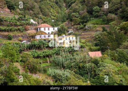 Jardins en terrasses à flanc de colline sur les pentes d'une montagne sur l'île portugaise de Madère Banque D'Images