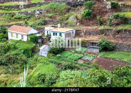 Jardins en terrasses à flanc de colline sur les pentes d'une montagne sur l'île portugaise de Madère Banque D'Images