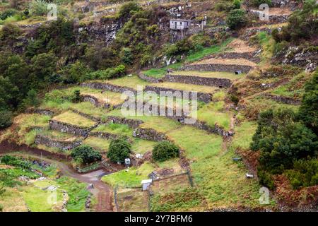 Jardins en terrasses à flanc de colline sur les pentes d'une montagne sur l'île portugaise de Madère Banque D'Images