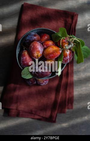 Vue aérienne d'un seau en métal Vintage rempli de prunes rouges biologiques fraîchement cueillies sur une serviette pliée Banque D'Images