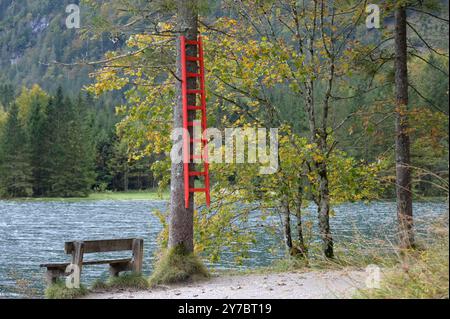 Wanderung rund um den Offensee, im oberösterreichischen Salzkammergut, AM 29.09.2024. DAS Bild zeigt eine Sitzbank am Ufer des offensees und eine rote, an einem Baum aufgehängte Rettungsleiter, die dafür verwendet wird, am, im Winter, im Eis des offensees eingebrochene Personen, mehr oder weniger gefahrlos retten zu können. 2024 - Wanderung rund um den Offensee, im oberösterreichischen Salzkammergut, AM 29.09.2024. *** Randonnée autour de l'Offensee, dans le Salzkammergut de haute-Autriche, le 29 09 2024 la photo montre un banc sur la rive de l'Offensee et une échelle de sauvetage rouge suspendue à un arbre Banque D'Images