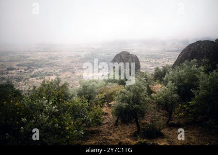 Des rochers dispersés à travers les prairies dans une vallée alors que le brouillard descend à Monsanto, au Portugal, créant une atmosphère paisible et mystique. Banque D'Images
