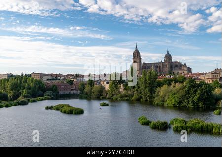 Vue de Salamanque (Espagne) au coucher du soleil depuis l'Enrique Estevan sur la rivière Tormes Banque D'Images