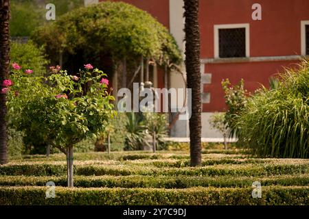 Villa Pellegrini est seul dans une position dominante à Castion Veronese, Vérone, Vénétie, Italie Banque D'Images